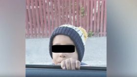 VIDEO Un copil în vârsta de 4 ani a fost ucis de câini la marginea orașului Craiova. Autoritățile cunoșteau situația
